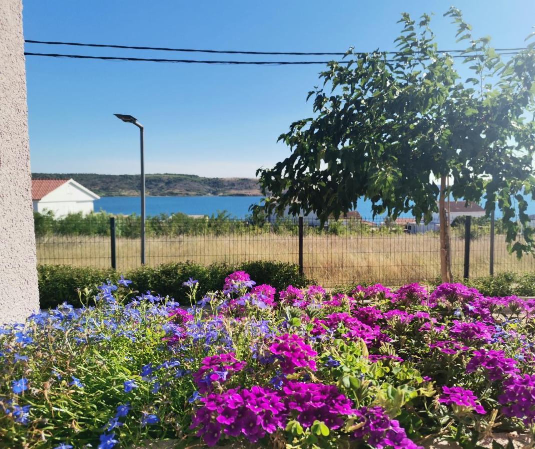 Apartmani Darko Ртина Экстерьер фото